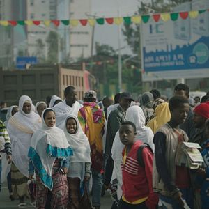 Bilder The Great Green Wall