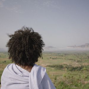 Bilder The Great Green Wall