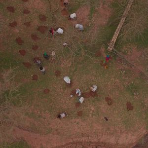 Bilder The Great Green Wall