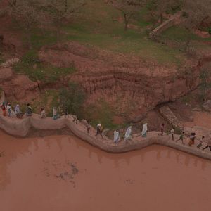 Bilder The Great Green Wall