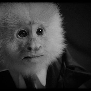 Bilder What did Jack do?