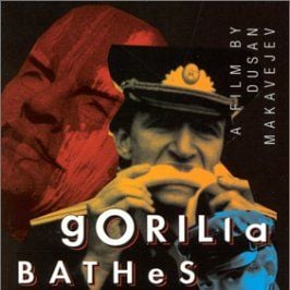 Bilder Gorilla Bathes At Noon