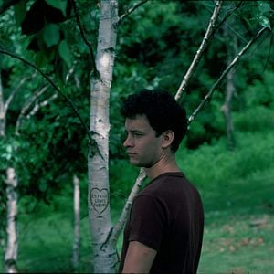 Bilder Geschenkt ist noch zu teuer