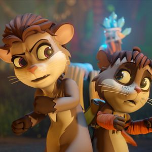 Bilder Der Wunschtraumbaum