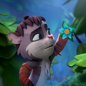 Bilder Der Wunschtraumbaum