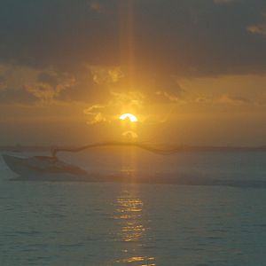 Bilder Omniboat: A Fast Boat Fantasia