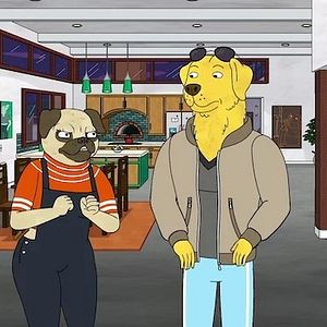 Bilder BoJack Horseman