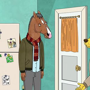 Bilder BoJack Horseman
