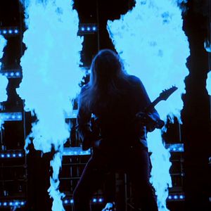 Bilder Mein grünes Herz in dunklen Zeiten