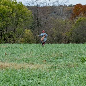 Bilder Harriet - Der Weg in die Freiheit