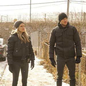 Bilder Tracy Spiridakos