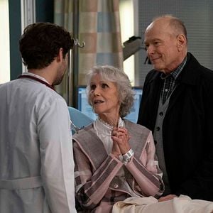 Bilder Shannon Wilcox