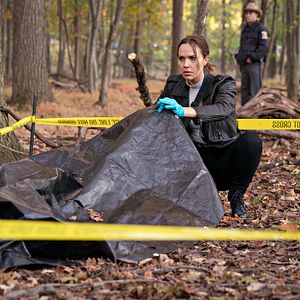 Bilder Arielle Kebbel