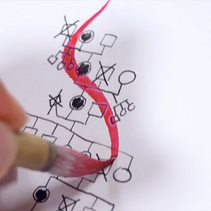 Bilder Les Rivières