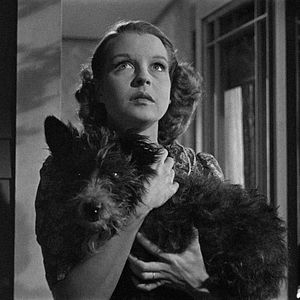 Bilder Der Mann aus dem Süden