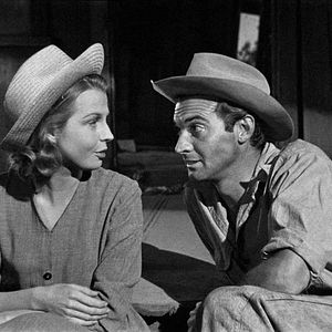 Bilder Der Mann aus dem Süden