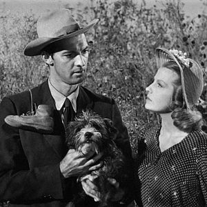 Bilder Der Mann aus dem Süden