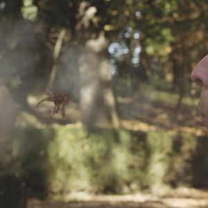 Bilder Kiffer vs. Killer Mosquitos