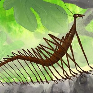 Bilder Der Schlangenprinz