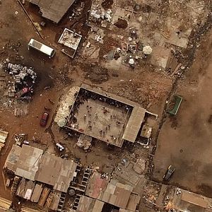 Bilder Lionhearted - Aus der Deckung