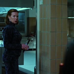 Bilder Marion Kracht