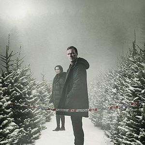 Bilder Kommissar Wisting