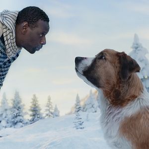 Bilder Ruf der Wildnis