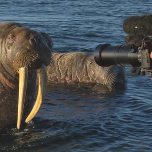Bilder Spitzbergen – Auf Expedition in der Arktis