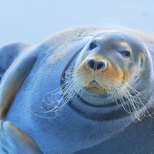 Bilder Spitzbergen – Auf Expedition in der Arktis