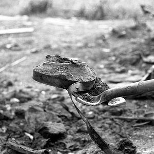 Bilder Dawson City: Frozen Time