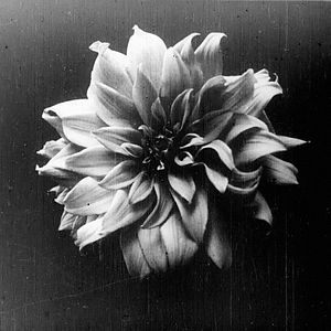 Bilder Dawson City: Frozen Time