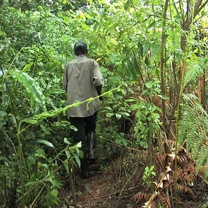 Bilder A Storm Was Coming