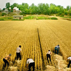 Bilder Swimming Out Till The Sea Turns Blue