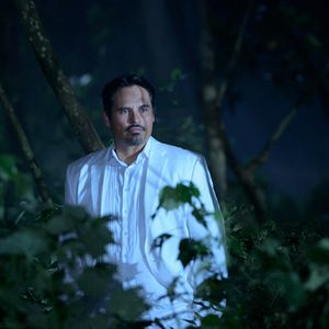 Bilder Michael Peña