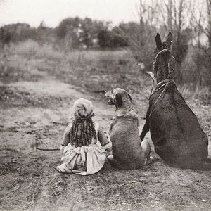 Bilder Through the Back Door