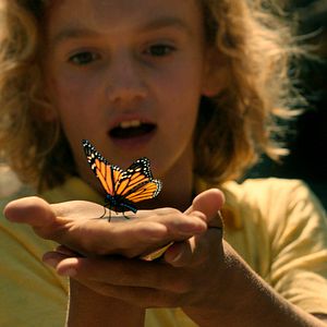 Bilder Mein Freund, der Clown