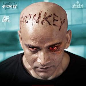 Bilder Popcorn Monkey Tiger