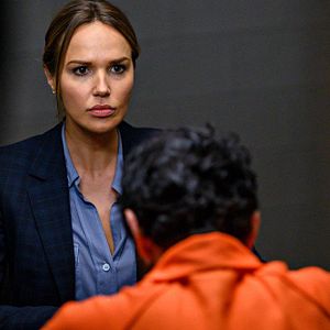 Bilder Arielle Kebbel