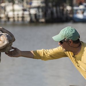 Bilder The Ship - Das Böse lauert unter der Oberfläche