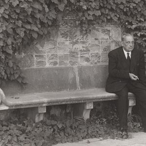 Bilder Die Geburt des Leoparden