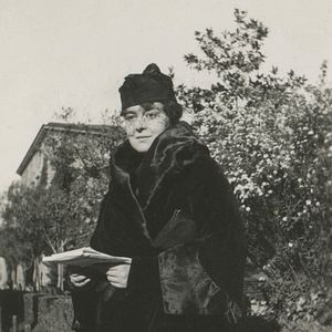 Bilder Die Geburt des Leoparden