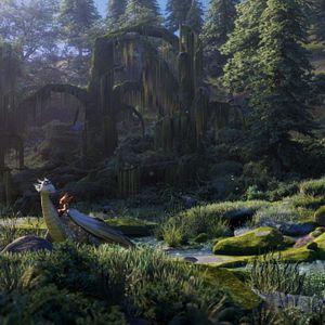 Bilder Drachenreiter