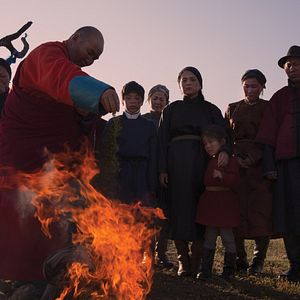 Bilder Die Adern der Welt