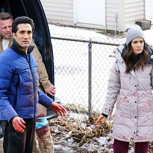 Bilder Torrey DeVitto