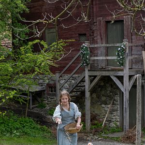 Bilder Die drei Königskinder