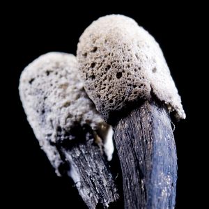 Bilder Fan Zhe, Le Bâtisseur De Ponts