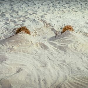 Bilder Barb And Star Go To Vista Del Mar