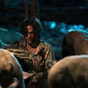 Bilder Giuseppe De Domenico