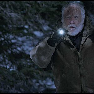 Bilder Daughter Of The Wolf