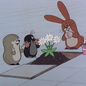 Bilder La Petite taupe aime la nature